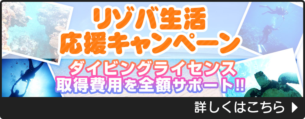 ダイビングライセンス取得キャンペーン